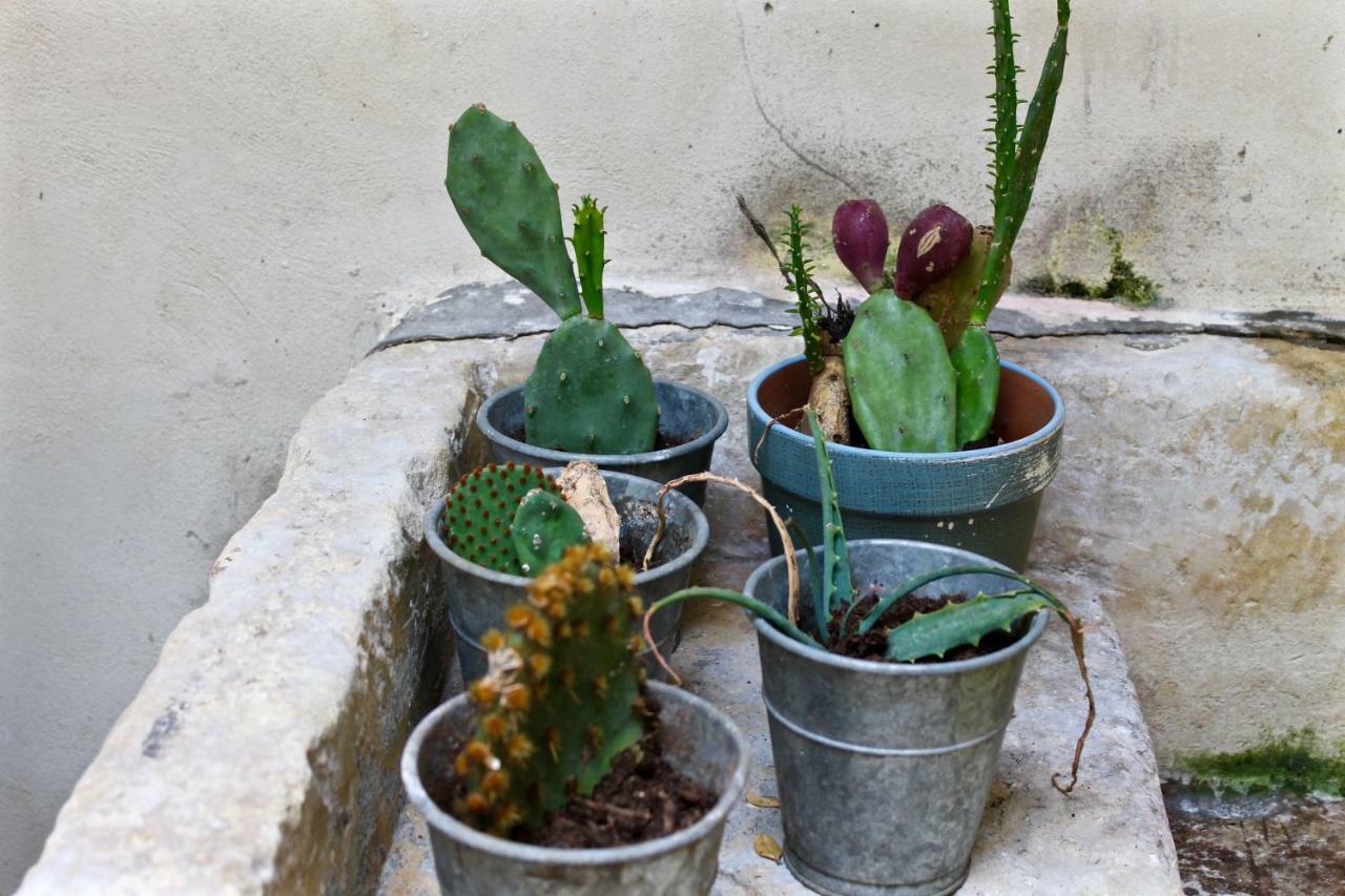 לצ'ה Buon Consiglio B&B מראה חיצוני תמונה